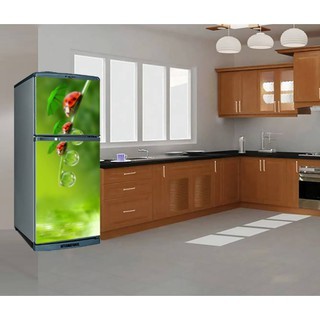 DECAL DÁN TRANG TRÍ TỦ LẠNH BỌ ĐỎ