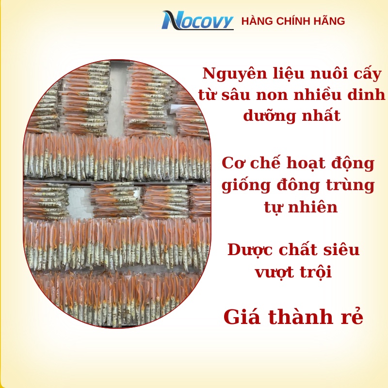 Đông trùng hạ thảo ký chủ sâu tằm NOCOVY  dược chất siêu vượt trội giúp cải thiện hô hấp, giúp ăn ngon ngủ sâu