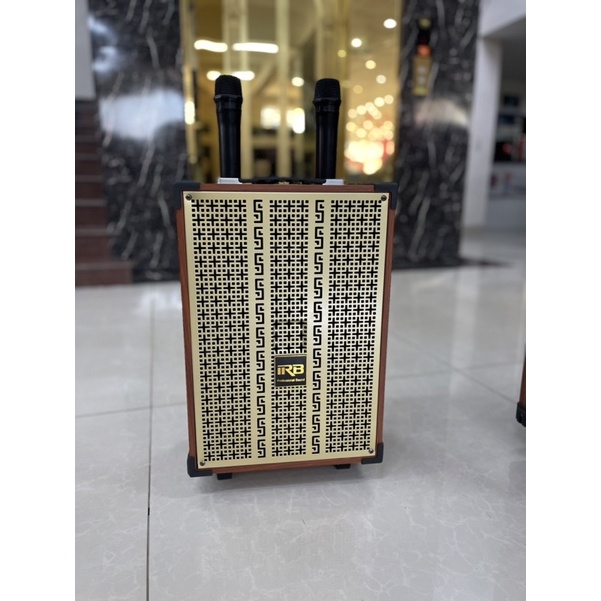 loa kéo di động
