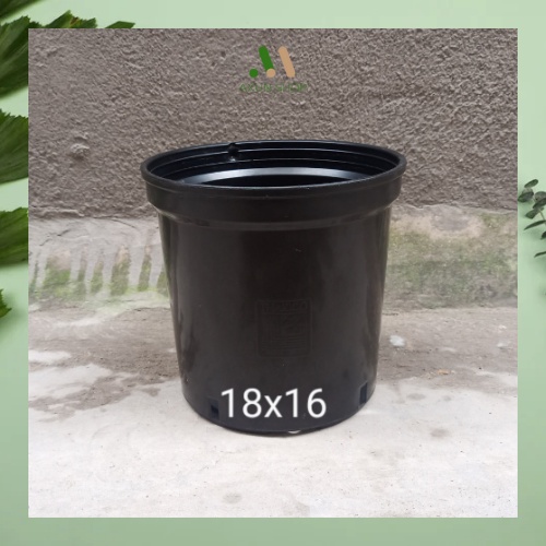 Chậu nhựa cứng tròn đen nhiều size trồng cây kiểng lá bonsai Thakico tiện lợi giá tại xưởng