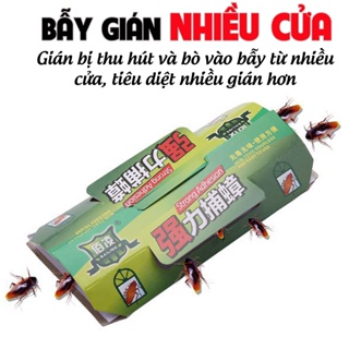 Bẫy Gián Tiêu Diệt Gián Bằng Vật Lý An Toàn Với Mọi Nhà