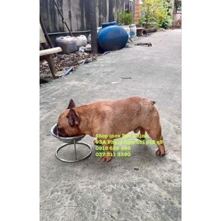 Đế ăn inox cho chó size trung( đế cao 15cm-tô 20cm)