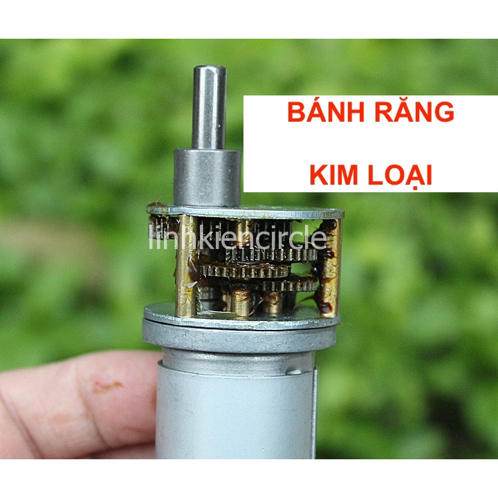 Motor giảm tốc 24V bánh răng kim loại mô men xoắn lớn tốc độ 98 - 165 vòng/phút - LK0378