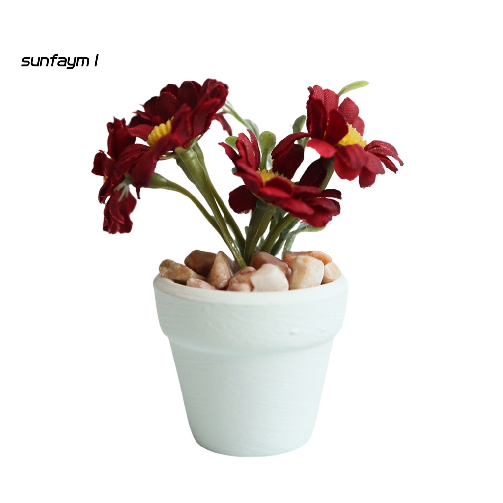 Chậu Cây Cảnh Mini Tỉ Lệ 1: 6 / 1: 8 Dùng Để Trang Trí Nhà Búp Bê