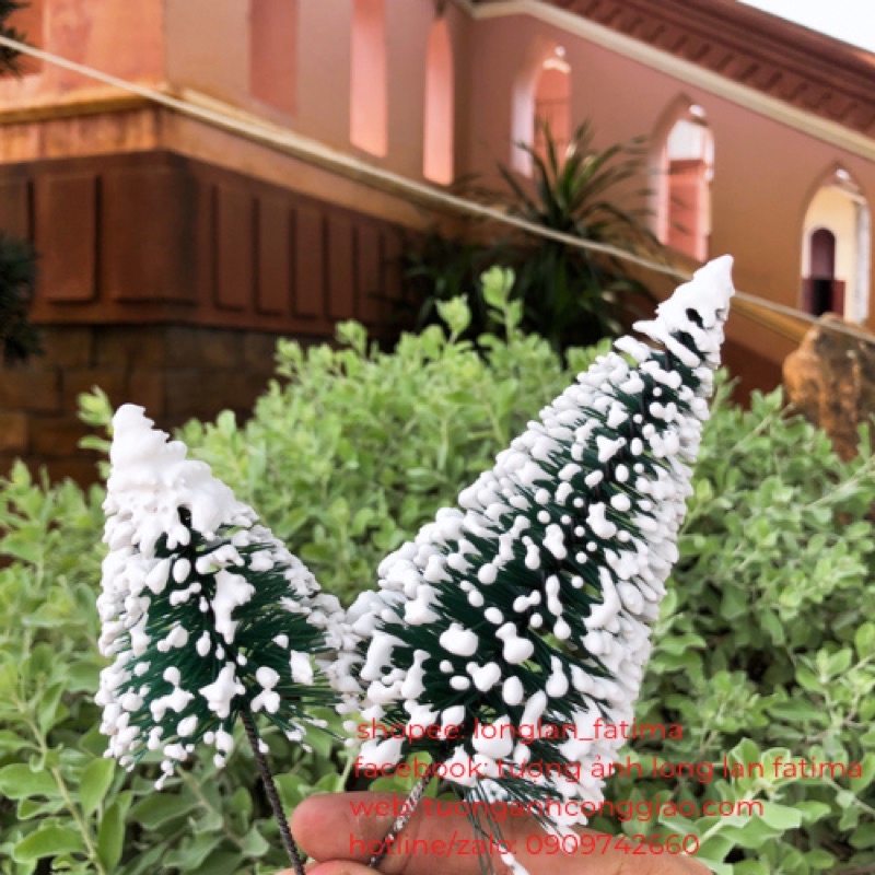 THÔNG CẮM-TRANG TRÍ NOEL