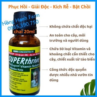 Phân Bón Superthrive 20ml kích thích sinh trưởng, thuốc Super Thrive siêu phục hồi