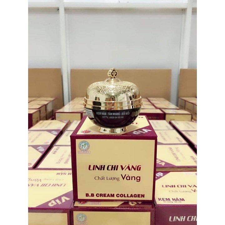 Kem Nám Linh Chi Vàng Vip 35g