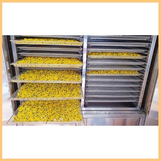 Trà hoa cúc hữu cơ Organic
