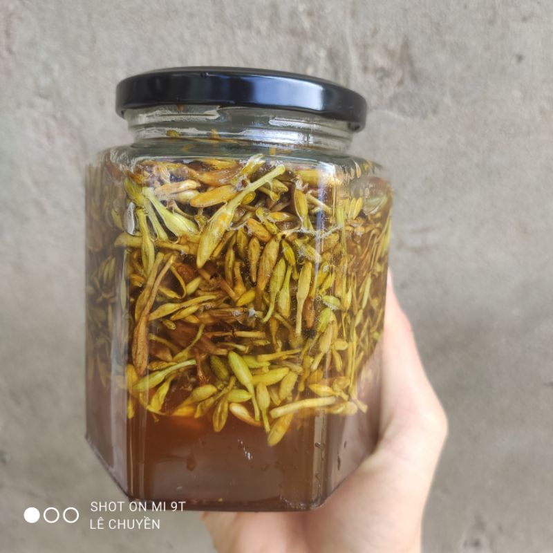 Hoa đu đủ đực ngâm mật ong