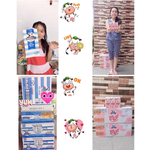 THÙNG SỮA TƯƠI DEVONDALE /Own 24 Hộp NỘI ĐỊA ÚC(Nguyên kem/Hương dâu)