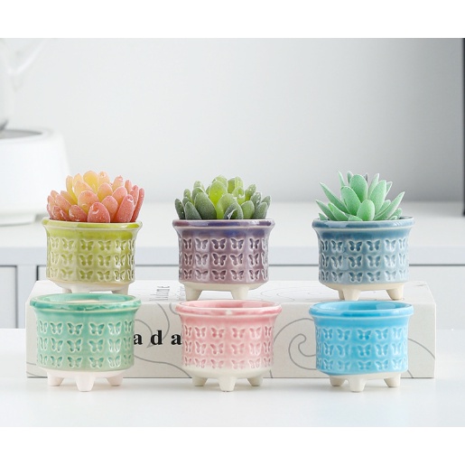 Chậu cây gốm sứ pastel hoa văn mini CHAUM5 trồng hoa sen đá cây cảnh cute trang trí decor để bàn ống bút cắm đồ