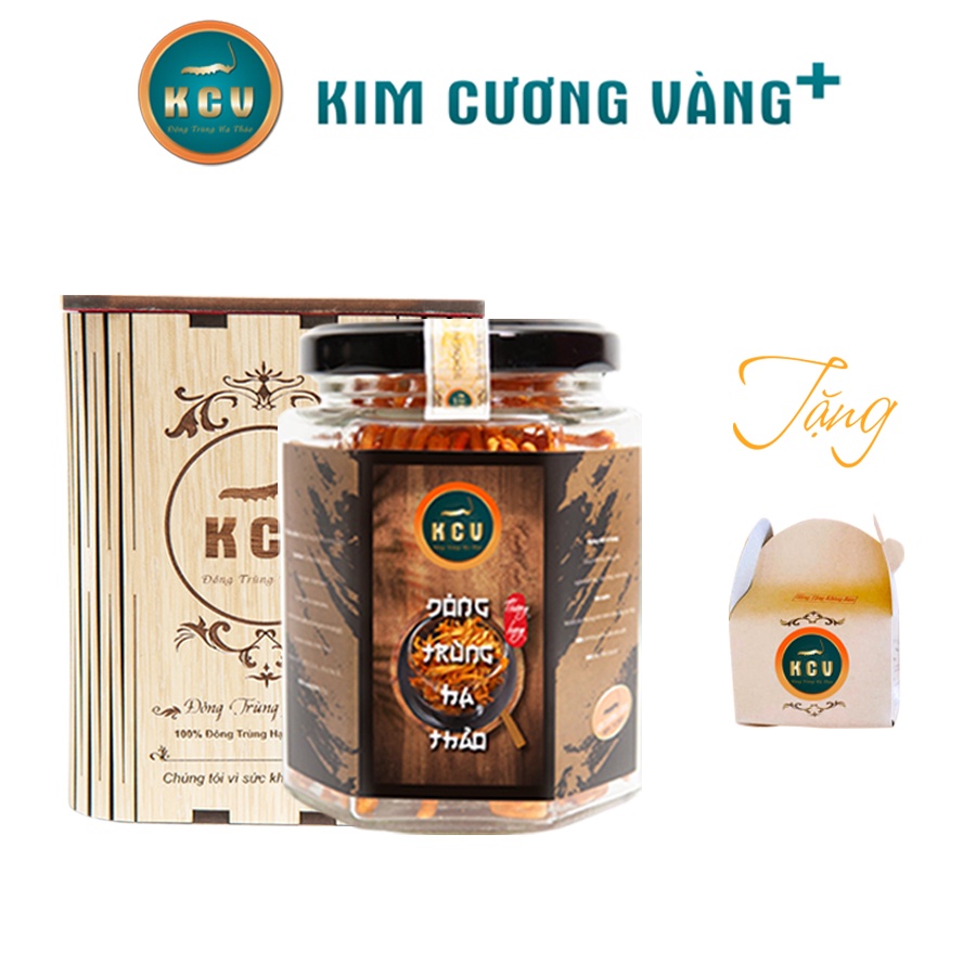Đông Trùng Hạ Thảo Khô Kim Cương Vàng (Hộp 10G) - Tặng 1 Gói Đông Trùng Hạ Thảo Mini