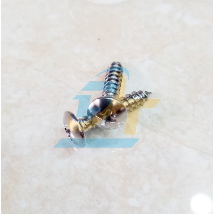 Vít gỗ đầu dù inox 304 M4x20 - M5x20