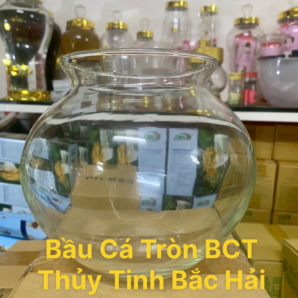 Mẫu Bầu Cá Tròn BCT - Bầu Bèo, Thố, Chân Ly, Chậu , Bễ , Hồ Thủy Tinh Trồng Cây Thủy Sinh Và Nuôi Cá