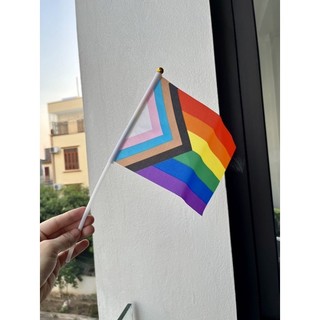 Cờ vải cầm tay LGBT( đủ mẫu cờ)