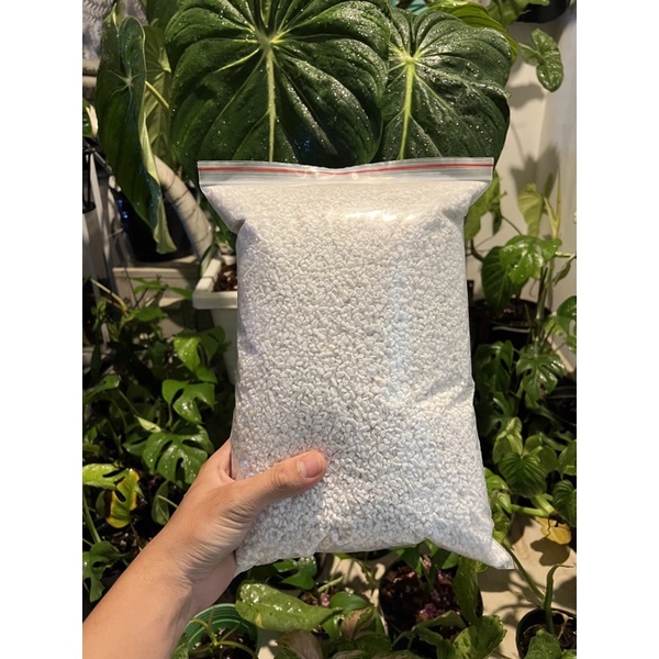 Đá Perlite (đá trân châu) bao 1/2Kg CỰC NHIỀU, SIÊU RẺ - SIÊU TIẾT KIỆM giá thể siêu thoáng siêu nhẹ, giữ ẩm tốt