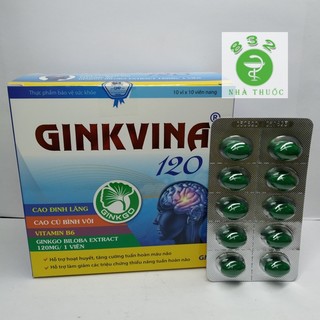Viên uống bổ não GINKVINA 120 - Hỗ trợ hoạt huyết, tăng cường tuần hoàn máu não, giảm các chứng thiểu năng tuần hoàn não