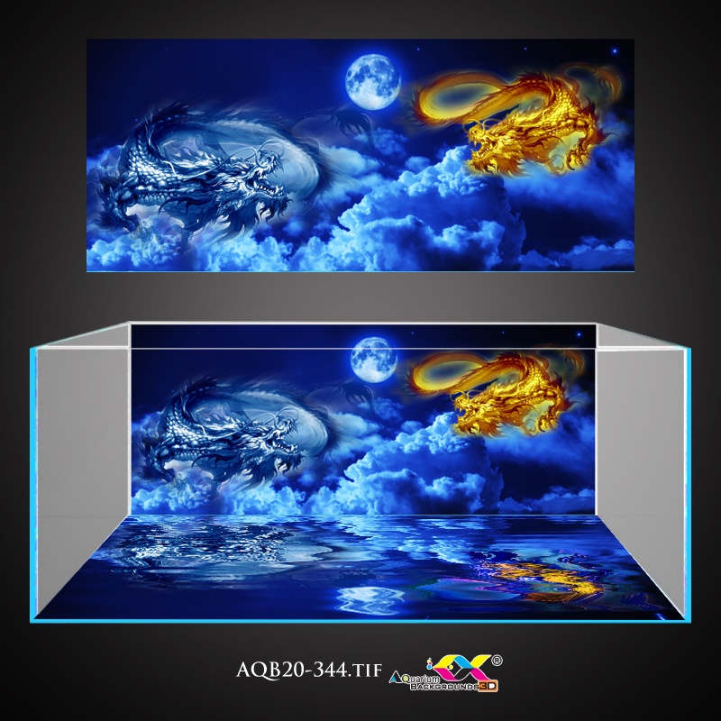 Tranh 3D dán hồ cá - bể cá mẫu rồng siêu đẹp và nét, có keo sẵn trên bề mặt, đa dạng kích thước (AQB20-344)