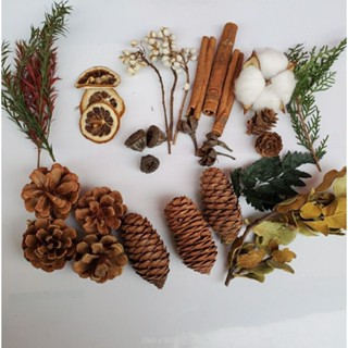 Combo Hoa Qủa Khô decor chụp ảnh, Màu tự nhiên - Trái Thông Nhiều Size, Lá Khô, Vòng Cây trang trí