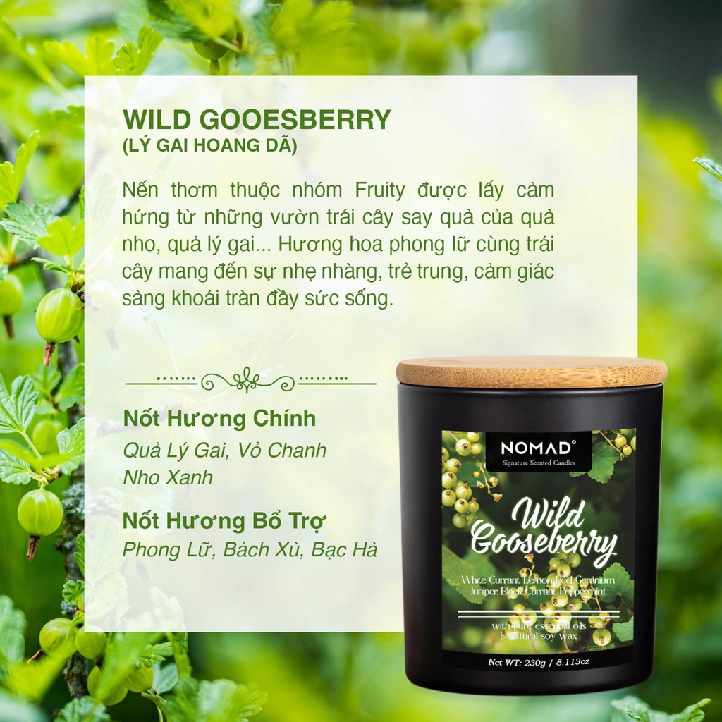 Nến Thơm, Tán Hương Cao Cấp Nomad Signature - Wild Gooesberry