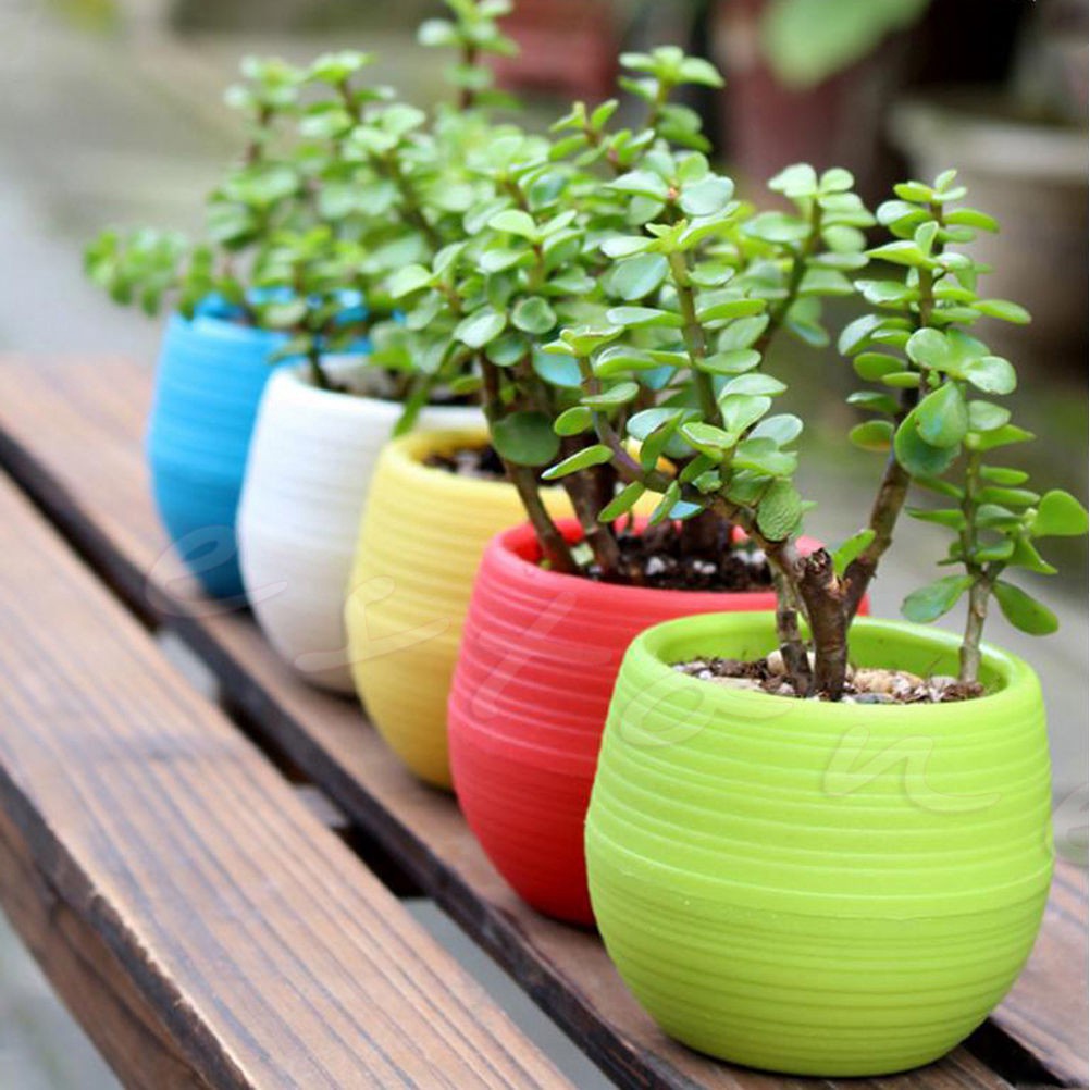 Chậu Nhựa 2 tầng Mini Trang Trí Văn Phòng 6 Màu