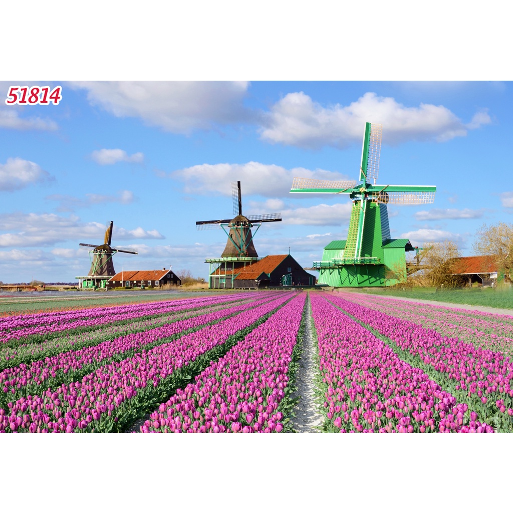 Tranh dán tường 3D hoa Lavender