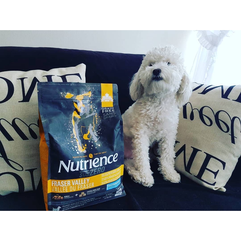 Thức Ăn Hạt Cho Chó Poodle - Mượt Lông Nutrience Subzero Bao 2,27kg - 4 Loại Thịt (Gà Tây, Cá Hồi,...) Rau Củ, Trái Cây