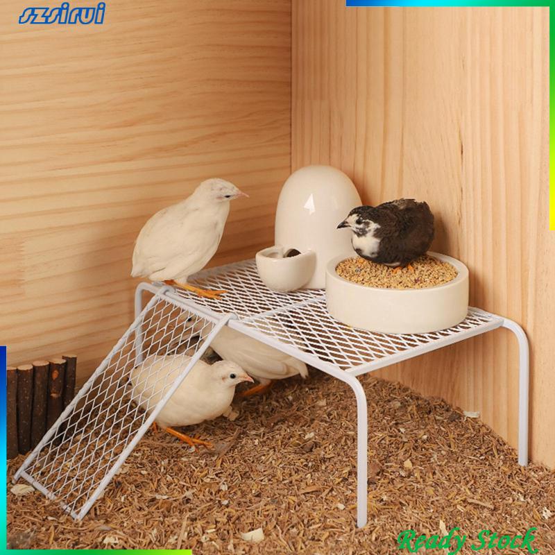 Khay Đựng Thức Ăn Cho Gà Tiện Dụng