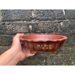 Chậu tàu mini cánh sen
