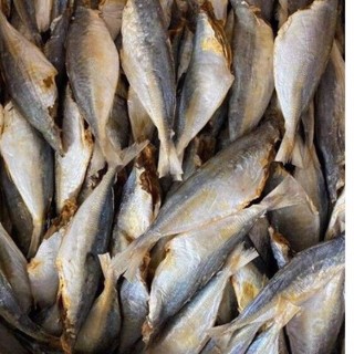1kg CÁ NỤC phơi  khô ngon, vị hơi mặn