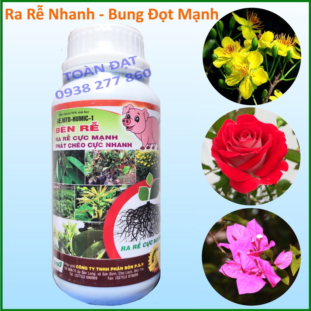 Phân bón Humic bén rễ hiệu con heo, Ra rễ cực mạnh - bung chèo cực nhanh, phục hồi cây, bung chồi, xanh cây