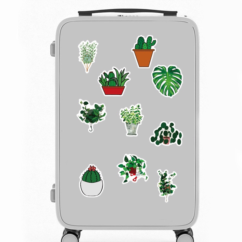 Bộ 50 Miếng Dán Họa Tiết Chậu Cây Xanh Dễ Thương Dùng Trang Trí Laptop / Xe Hơi / Ván Trượt DIY