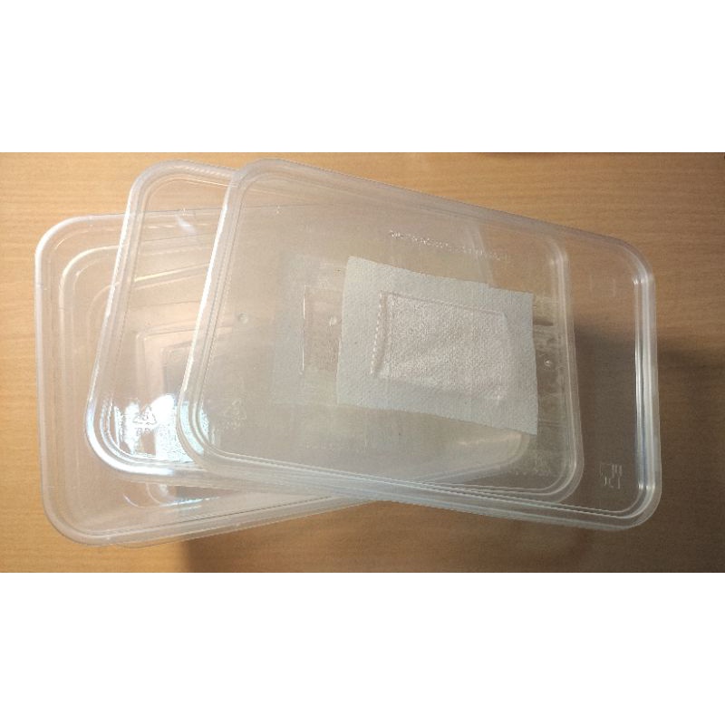 Hộp nuôi trùn chỉ trắng Grindal Worm