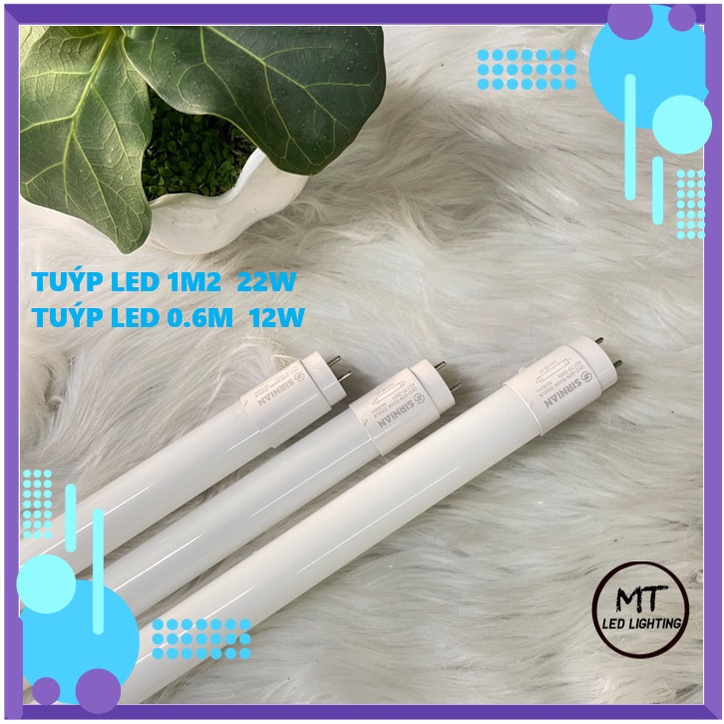 COMBO 5 Bóng đèn tuýp led vỏ nhựa 1m2 22w ánh sáng trắng