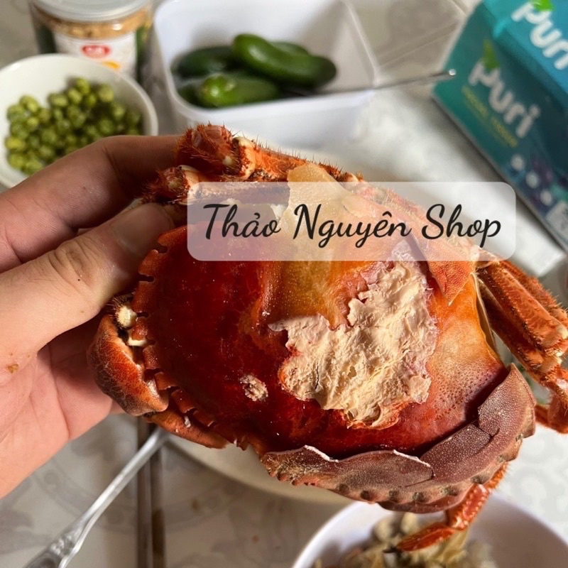 CUA NÂU NAUY SIÊU GẠCH, SIÊU NGON. SIZE 900G/CON UP BAO ĂN 1-1