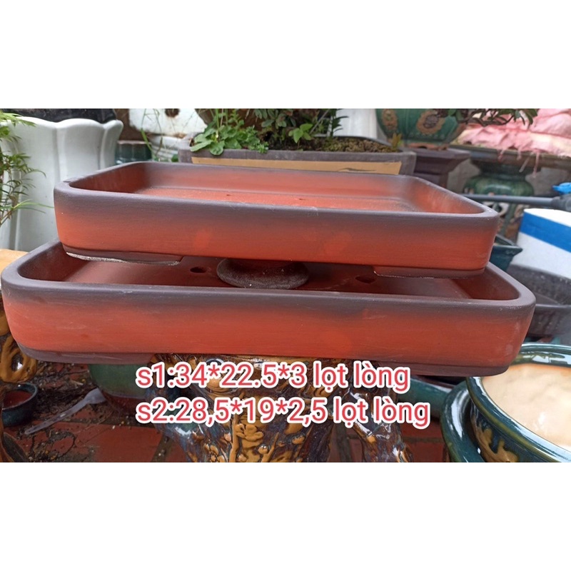 khay tiểu cảnh, chậu cạn bonsai