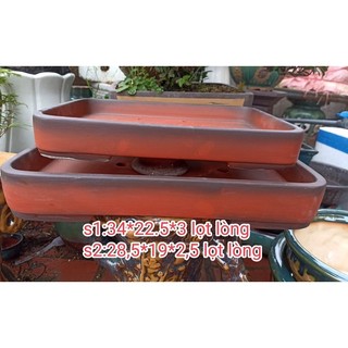 Khay tiểu cảnh, chậu cạn bonsai