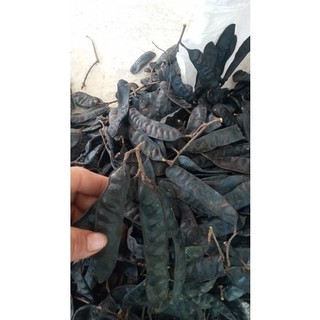 Combo 1 kg quả bồ kết sạch ( bồ kết ta) thơm lừng mẩy