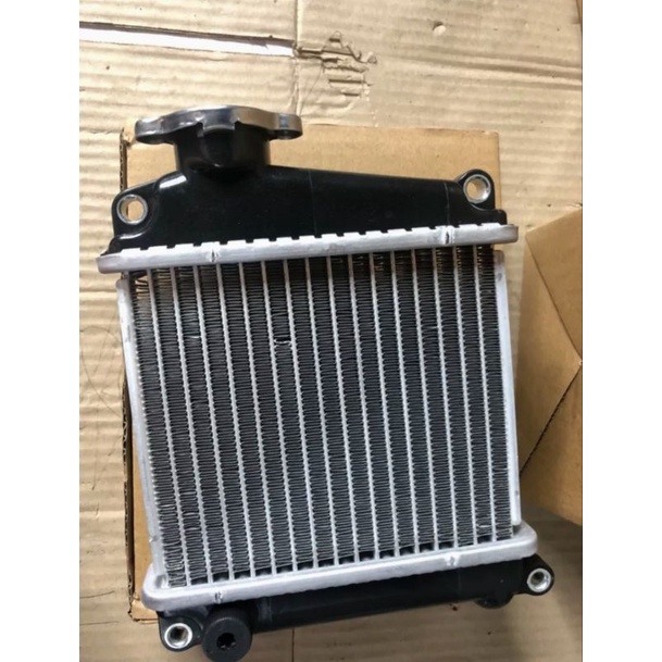 Két nước Honda Lead 110cc