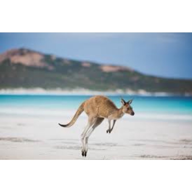 Sim Mỹ USA -  Úc Australia - Newzeland dùng trong 30 ngày không giới hạn dung lượng