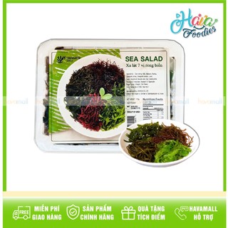 [CHỈ GIAO HCM-TẶNG SỐT MÈ RANG] Salad 7 Vị Rong Biển Fresiweed 110gr