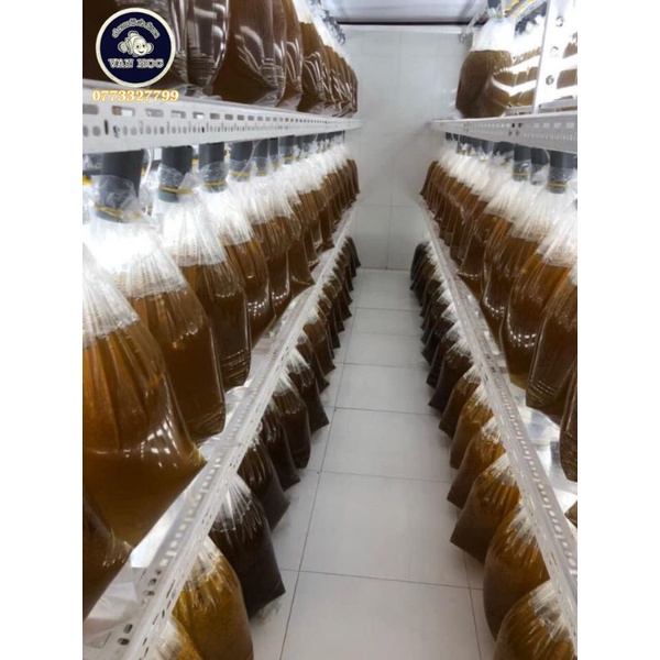 Phytoplankton- thực vật phù du - vi tảo