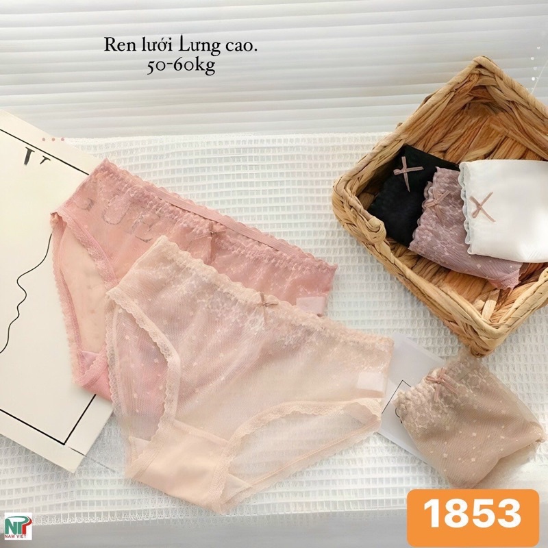 COMBO 10 QUẦN LÓT REN PHỐI LƯỚI HOẠ TIẾT 1853