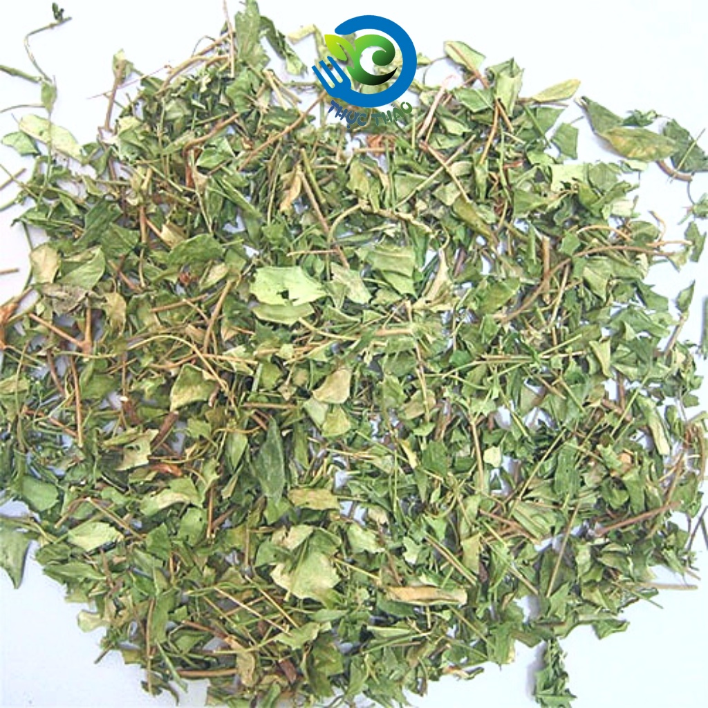 Dây thìa canh - Phòng và hỗ trợ trị tiểu đường