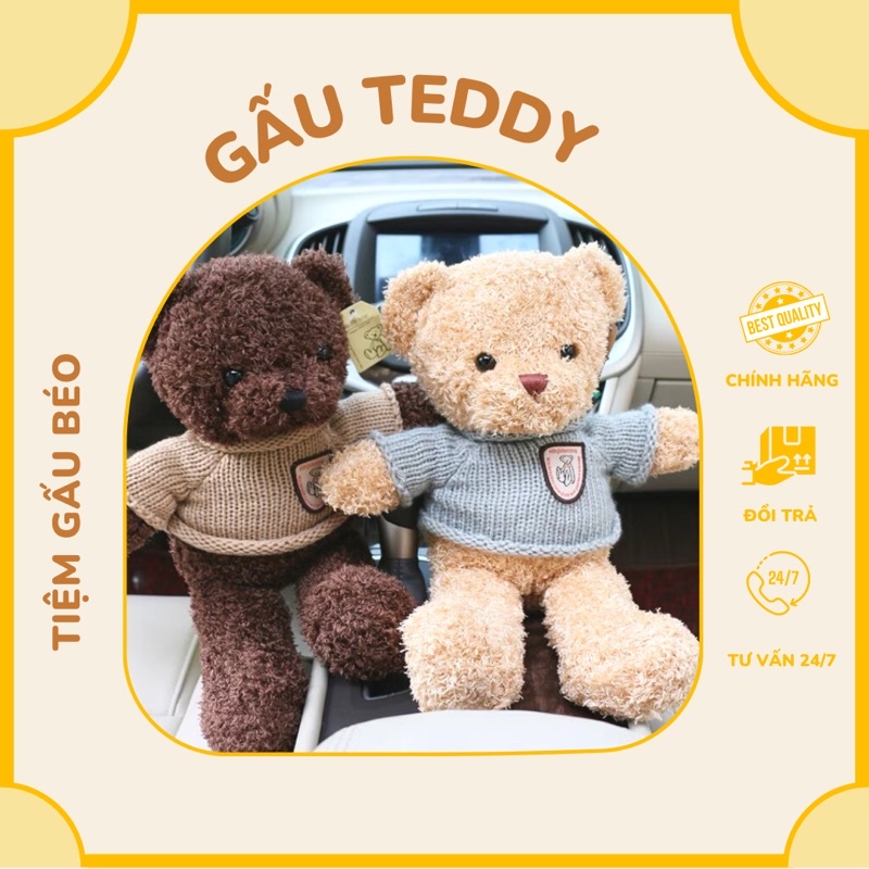Gấu Bông Teddy áo len kích thước 30cm 40cm 70cm- gấu bông trang trí