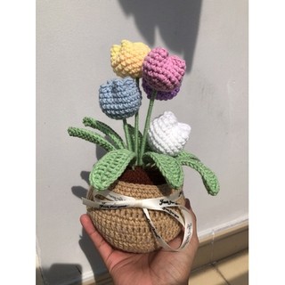 Chậu hoa tulip handmade bằng len /Hình ảnh thật/ được chọn mau