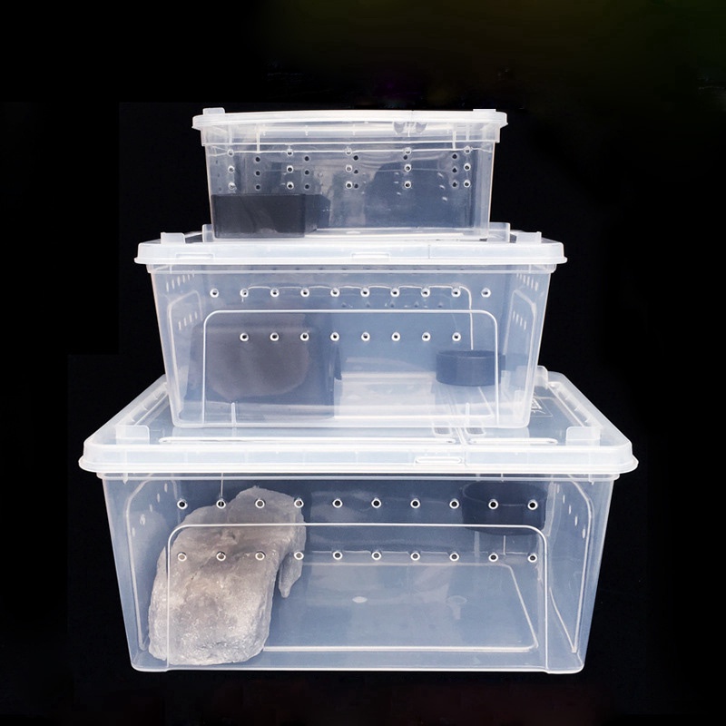 Hộp Nuôi Chuột Hamster / Bò Sát Bằng Nhựa Trong Suốt Chất Lượng Cao
