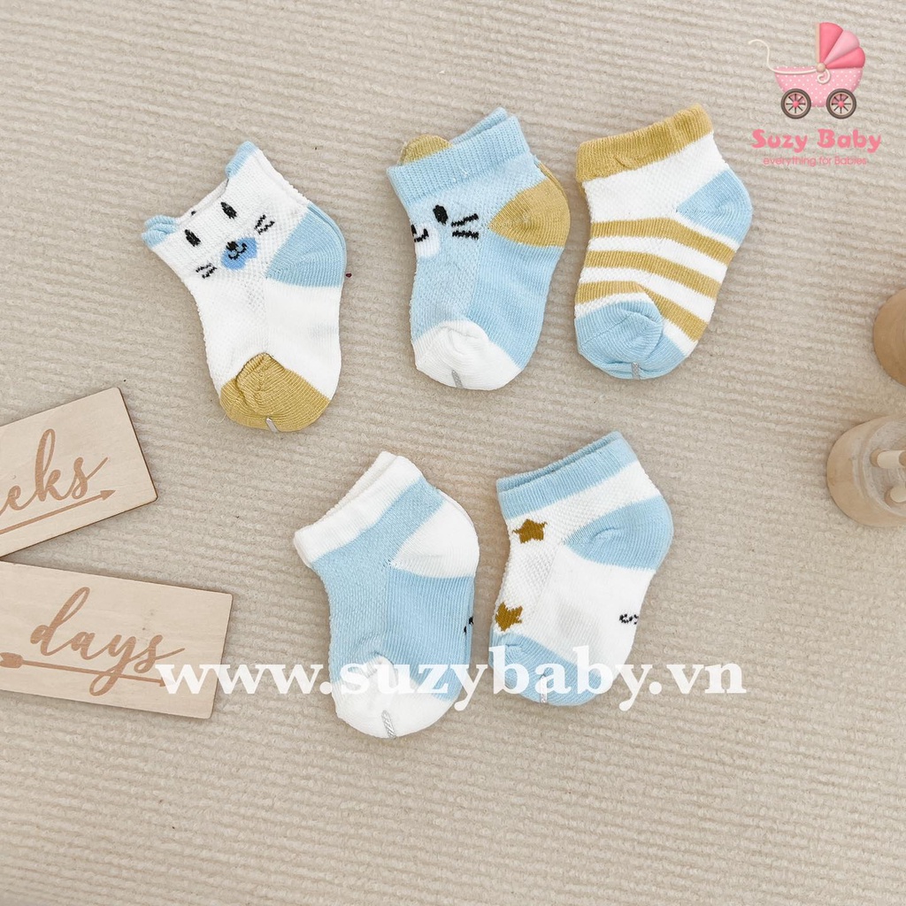 SET 5 TẤT LƯỚI ĐIỀU HOÀ KIDSOCK CHO BÉ