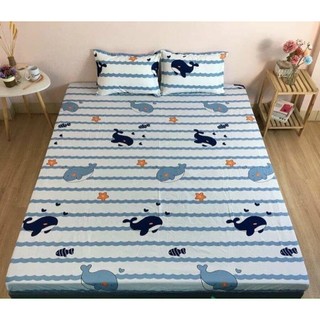 Bộ ga gối chun Cotton poly mẫu mới nhất đủ kích thước