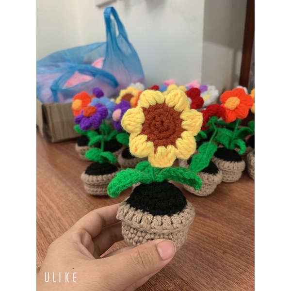 Chậu hoa len trang trí bàn học